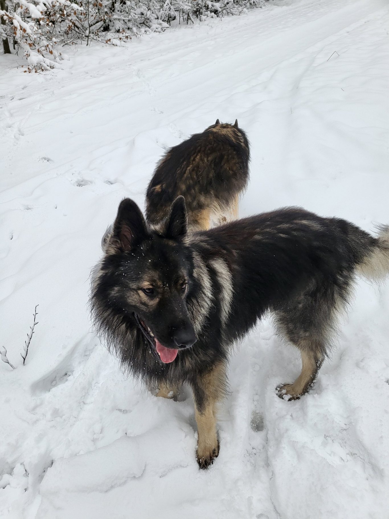 Nora & Gabor genießen das Wetter