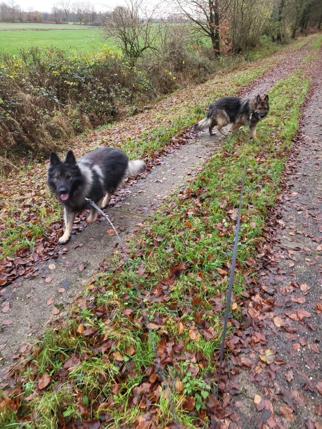 Nora & Gabor sind neu dabei