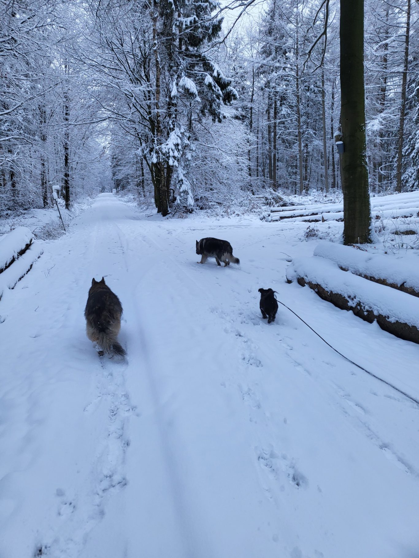 Ausflug Nora& Gabor mit Napoleon